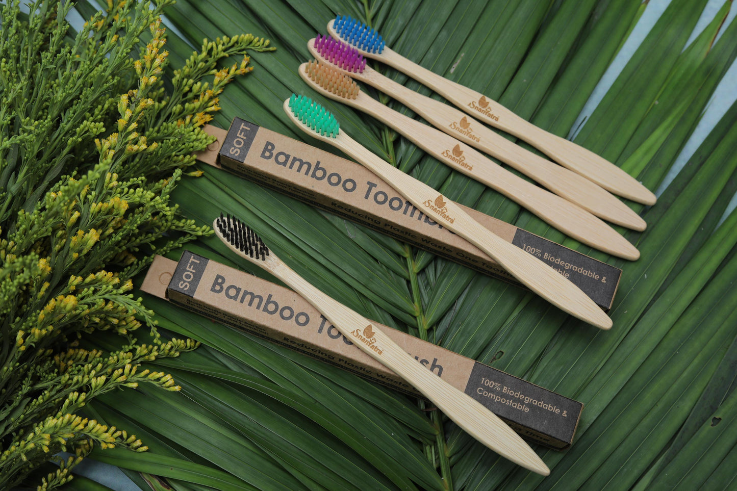 Bamboo Tooth Brush | Combo | Pack of 5